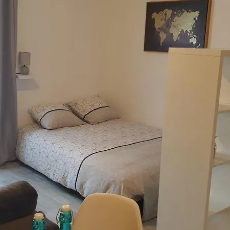 Appartements Entiers Proche Aeroport - Zac Chesnes - Cnpe Du Bugey Check-In 24H7J Satolas-et-Bonce Exterior foto