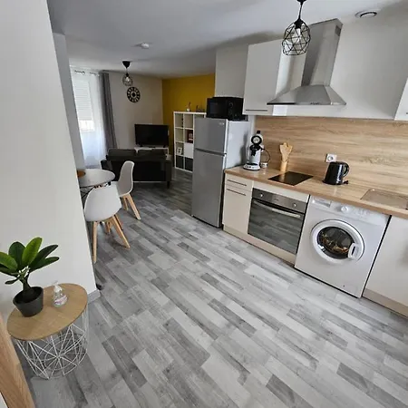 Appartements Entiers Proche Aeroport - Zac Chesnes - Cnpe Du Bugey Check-In 24H7J Satolas-et-Bonce Exterior foto