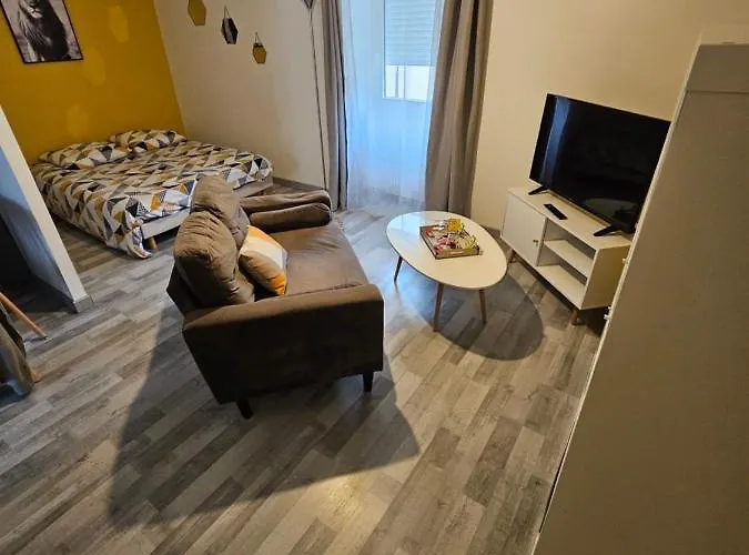 Appartements Entiers Proche Aeroport - Zac Chesnes - Cnpe Du Bugey Check-In 24H7J