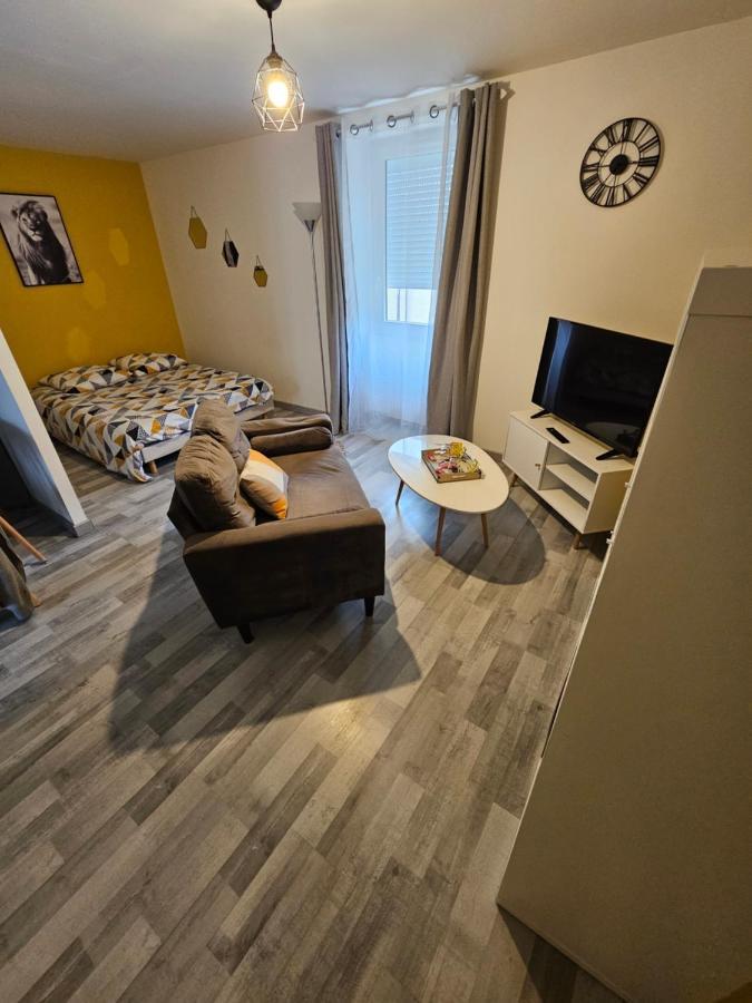 Appartement Hébergements Complets Proche Aéroport St Exupéry - Zac De Chesnes - Cnpe Du Bugey Satolas-et-Bonce